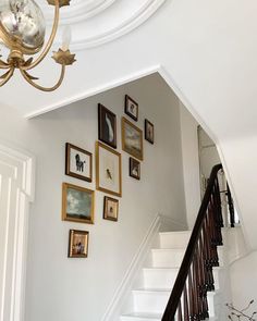 a staircase with pictures on the wall and a chandelier