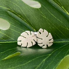 These little monstera leaves are sawed by hand from Argentium silver, and soldered to standard notched posts. The silver has a softly shimmery satin finish. Stainless steel friction backs are included. Each leaf measures 10.5mm/0.41" by 8.5mm/0.33". They'd so tiny that they're nearly weightless, and Argentium's tarnish resistance makes it extra hypoallergenic- it's great for sensitive ears. You might have noticed the coordinating pendant in the last photo- be sure to check that out! It's shown h Silver Leaf-shaped Minimalist Earrings, Silver Leaf Minimalist Earrings, Adjustable Silver Nature-inspired Earrings, Minimalist Silver Leaf Earrings, Silver Leaf-shaped Adjustable Jewelry, Adjustable Silver Leaf Jewelry, Cardboard Jewelry Boxes, Monstera Leaves, Argentium Silver