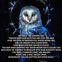 Spirit Animal Meaning, Witch Quotes, Animal Spirit Guides, Witch Spirituality, Wiccan Spell Book, Wiccan Spells, Witchy Stuff, Inspirational Sayings, Moon Magic