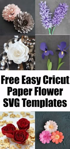 paper flowers with the words free easy cricut paper flower svg templates