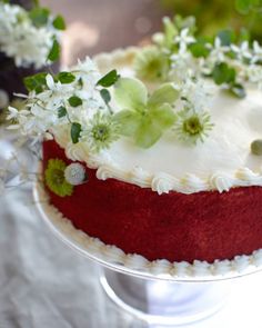 a red cake with white frosting and green flowers on top is sitting on a glass plate