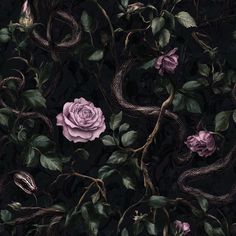 a rose is surrounded by vines and snakes on a black background with pink flowers in the center