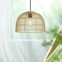 a bird cage hanging from the ceiling in front of a window with pine needles on it