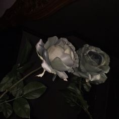 two white roses sitting next to each other on top of a black tableclothed surface