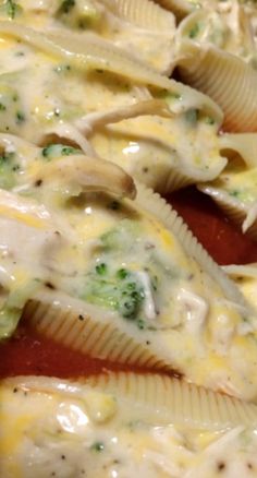 some pasta shells are covered with cheese and broccoli