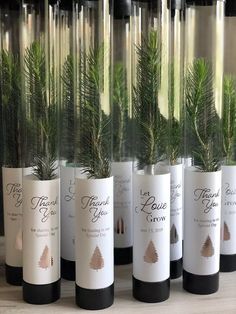 several wine bottles with trees in them on a table