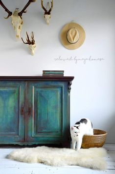 a cat is sitting on the floor next to an old cabinet with antlers hanging above it