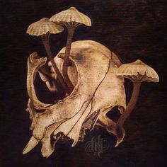 a painting of two mushrooms growing out of a cow's skull on a black background