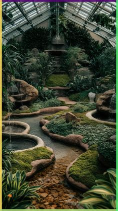 the inside of a greenhouse with lots of plants and rocks in it, including moss