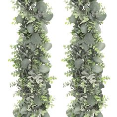 PRICES MAY VARY. [🌿Package🌿] 2pcs artificial eucalyptus garland.Each greenery garland is about 6.6ft, including artificial silver dollar eucalyptus leaves in grey green and baby eucalyptus in dusty green. The total length is about 13.2ft. [🌿Fake Leaves🌿] The leaves are made of silk and plastic, natural and realistic but will not fade or wilt. [🌿Perfect Decoration🌿] Elegant mixed eucalyptus garland is the best choice for wedding arch, backdrop, table centerpiece or other party decoration. Y Green And Silver Party Decor, Backdrop Table, Mixed Eucalyptus, Farmhouse Mantle, Fake Leaves, Artificial Eucalyptus Garland, Dollar Eucalyptus, Farmhouse Centerpiece, Feuille Eucalyptus