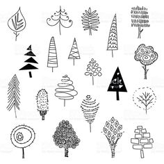 black and white hand drawn trees on a white background royalty - free stockvectors