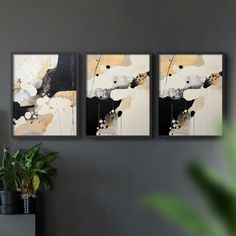 three abstract paintings hang on the wall above a table with a plant in front of it