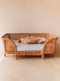 a dog laying on top of a bed in a room with beige walls and tile flooring