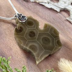 Real Michigan Petoskey stone found on the shores of Lake Michigan handcrafted into a Lower Peninsula Michigan-Shaped pendant with a sterling silver, swirl pinch bail. Stone measures approximately 1.0 inch by 1.35 inches. NOTE: The pendant you receive will be similar to the one pictured. Since each Petoskey Stone is unique, each pattern will also be unique. OPTIONAL STERLING SILVER CHAINS: 16 or 18 inch, 1.5 mm Snake Chain. Interlochen Michigan, Petoskey Stone, Silver Chains, Cabochons Stones, Jewelry Designers, Jewelry Online Shopping, Lake Michigan, Artistic Jewelry, Stone Pendant