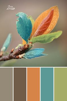 the color palette is orange, green, and blue with some yellow leaves on it