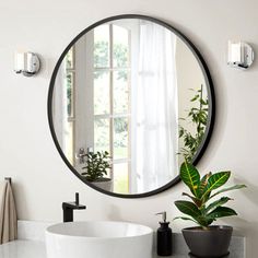 a bathroom with a sink, mirror and potted plant on the counter in front of it