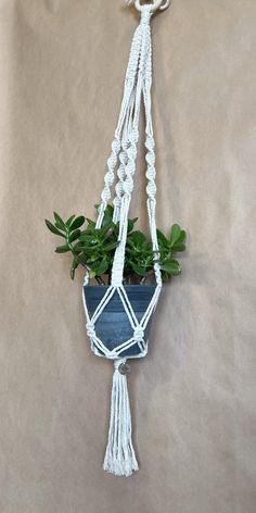 a potted plant hanging from a rope