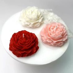 three different colored flowers on a white plate