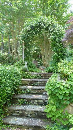 an outdoor garden with stone steps leading up to the trees and bushes on either side