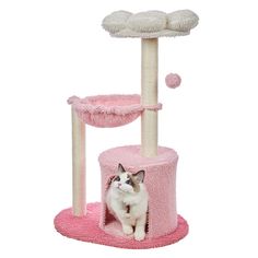 a cat sitting in the corner of a pink kitty tree