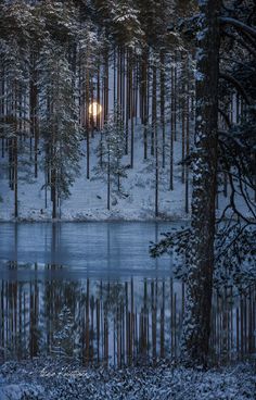 a lake surrounded by snow covered trees with a full moon in the distance