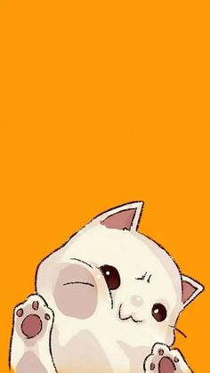 a white cat sitting on top of an orange background