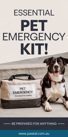 A Pinterest-style image of a pet emergency kit bag sitting on the ground. There is a happy dog beside the kit. The background is a neutral and
clean setting. The text "Essential Pet Emergency Kit!" is overlaid on the image in a bold, large, and easy-to-read font. The text "Be Prepared for Anything" is placed below the title in a clear font. The design is professional yet approachable, emphasizing the importance of pet safety and preparation.