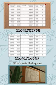 an info sheet showing the different types of boats