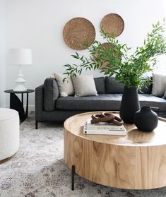 a living room with two couches and a coffee table in the middle, surrounded by plants