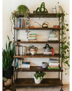 a bookshelf filled with lots of plants next to a potted plant on top of a wooden shelf