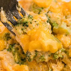 broccoli and cheese casserole with a fork