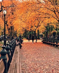 people are walking in the park with autumn leaves on the ground and trees lining the walkway