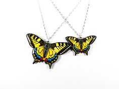 "❤️This stunning Yellow Swallowtail Butterfly Necklace captures the delicate beauty of these graceful creatures. Handcrafted with attention to detail, this necklace features a mesmerizing butterfly pendant that exudes summer vibes and is perfect for butterfly lovers and enthusiasts alike. The pendant showcases yellow color, symbolizing joy and vitality.  Crafted with love, this butterfly necklace makes a thoughtful gift for someone who adores butterflies. It is designed to complement any outfit, Yellow Butterfly Jewelry Gift, Summer Butterfly Jewelry Gift, Yellow Swallowtail Butterfly, Monarch Butterfly Necklace, Wing Jewelry, Butterfly Wing Earrings, Swallowtail Butterfly, Lovers Necklace, Yellow Jewelry