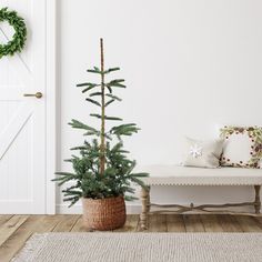 a small christmas tree in a pot next to a bench and wreath on the wall