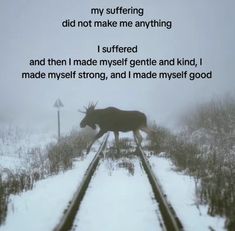 a moose standing on train tracks in the middle of snow with an interesting poem written below it