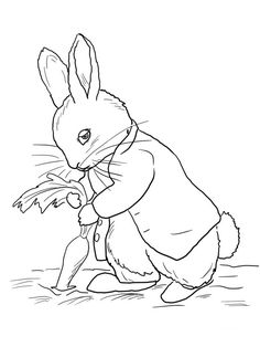 the rabbit is holding a carrot in his hand