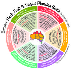 the flower planting guide for australia