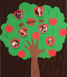 an apple tree with family pictures on it