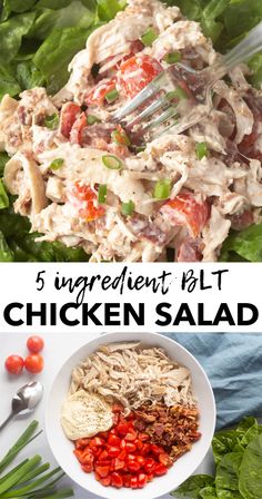 chicken salad with lettuce and tomatoes in it