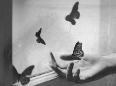 black and white photograph of hand reaching out window with butterflies flying around it in the air