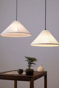 two hanging lights above a table with a plant on it