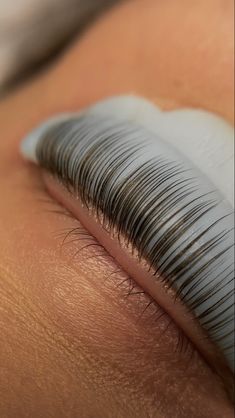 Lash Lift And Tint Aesthetic, Eyebrow Lamination Aesthetic, Lashlift Aesthetic, Lash Lift Quotes, Eyelashes Lamination, Lashes Instagram Feed, Lash Lift Aesthetic, Microblading Aesthetic, Lamination Lashes