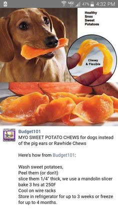 Dog Groomers | Pet & Professional Grooming Products >>>(paid link) Click image for more details. Homade Dog Treats, Lou Dog, Pup Treats, Pet Treats Recipes, Easy Dog Treat Recipes, Dog Biscuit Recipes, Easy Dog Treats, Healthy Dog Treats Homemade, Doggie Treats