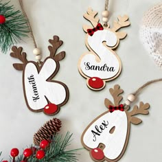 three wooden christmas ornaments with names and reindeer heads on them, hanging from pine cones