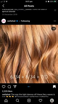 Wella Formulas, Ginger Hair Dyed, Red Hair Color Shades, Red Copper Hair Color, Cinnamon Hair, Fall Hair Color For Brunettes