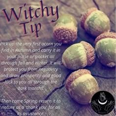 Acorns In Witchcraft, Acorns Witchcraft, Acorn Witchcraft, Acorn Magick, Acorn Symbolism, Acorn Magic, Encourage Mint, Forest Faerie, Witchy Tips