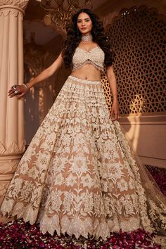 Elegant Designer Lace Lehenga, Elegant Net Sets For Reception, Elegant Lace Choli For Reception, Elegant Designer Lehenga With Lace Work, Festive Georgette Lehenga With Lace Work, Lace Dress For Diwali Reception, Lace Reception Dress For Diwali, Organza Sets With Lace Work For Receptions, Lace Sets For Reception During Diwali