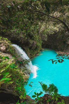 a blue pool in the middle of a forest filled with trees and water flowing from it