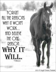 a black and white photo of a horse with the words forget all the reasons why it won't work and believe the one reason why it will