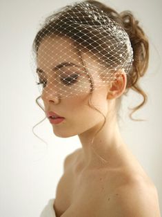 a woman wearing a birdcage veil over her head